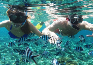 Tropica Island Resort | Snorkeling