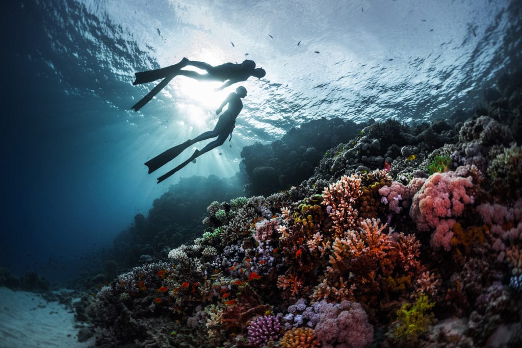 Tropica Island Resort | Activities | Snorkeling